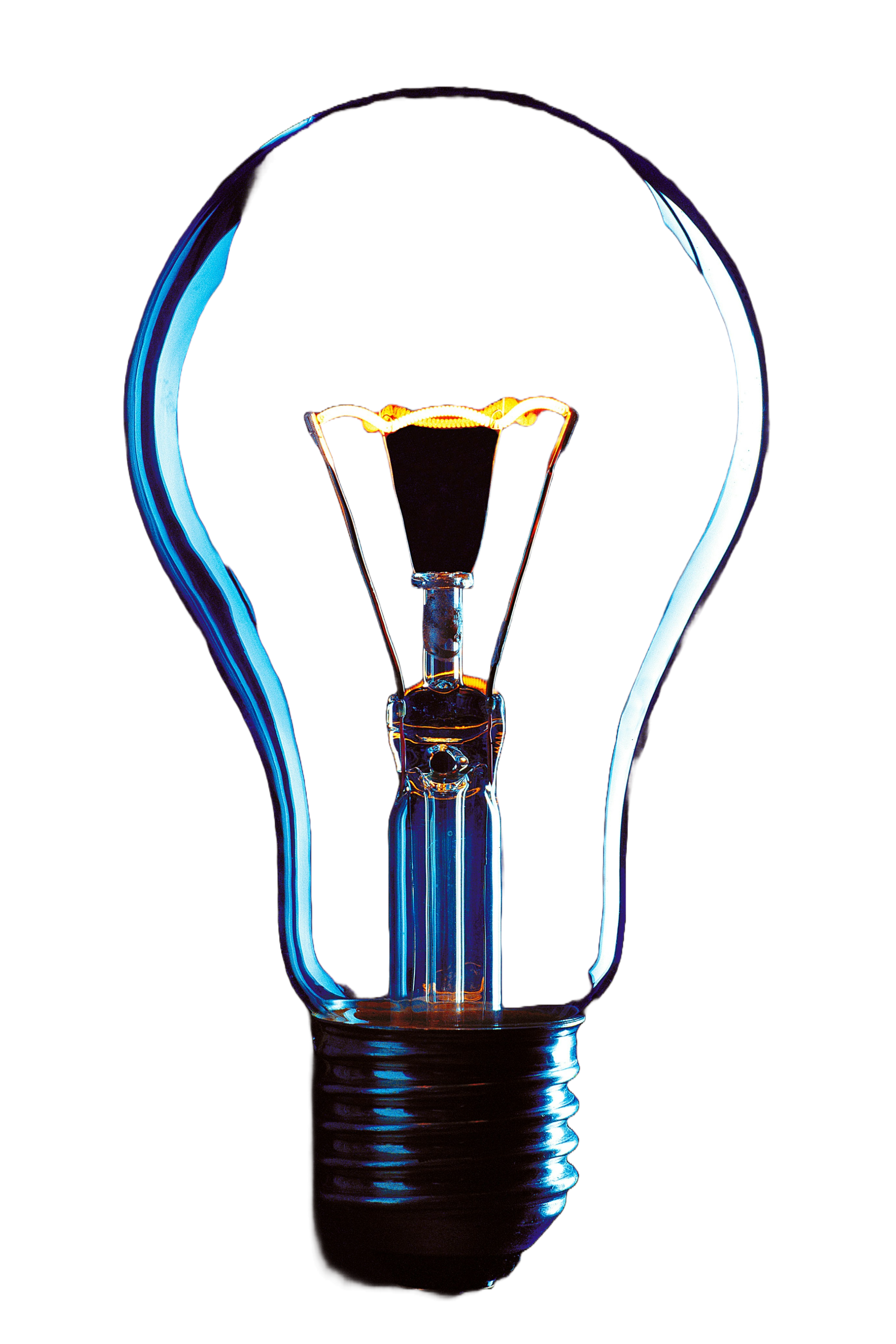 bulb